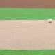 Sarah Langs/MLB.com